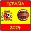 2014 Basketball World Cup