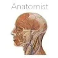 Anatomist