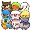Bird Life