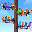 Bird Sort