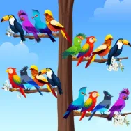 Bird Sort