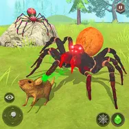 Spider Sim