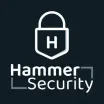 Hammer Security