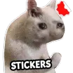 Cat Memes Stickers