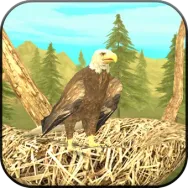 Wild Eagle Sim 3D