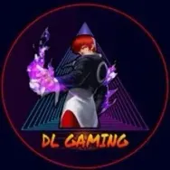 DL Gaming Injector