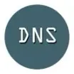 DNS Manager