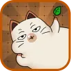 Haru Cats