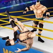 Tag Team Wrestling