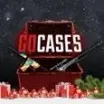 Go Cases