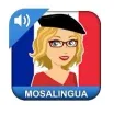 MosaLingua Learn French