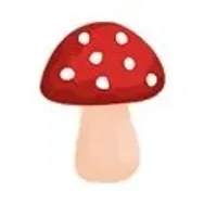 Shroomify