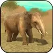 Wild Elephant Sim 3D